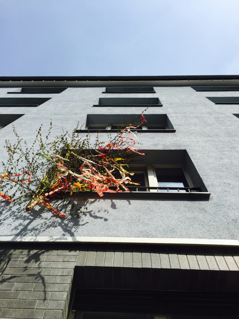 4_Linien