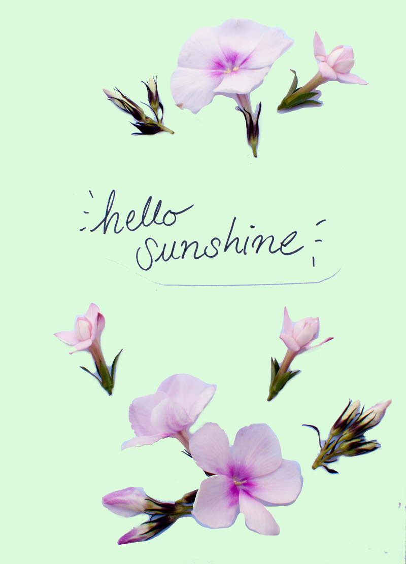 hello-sunshine