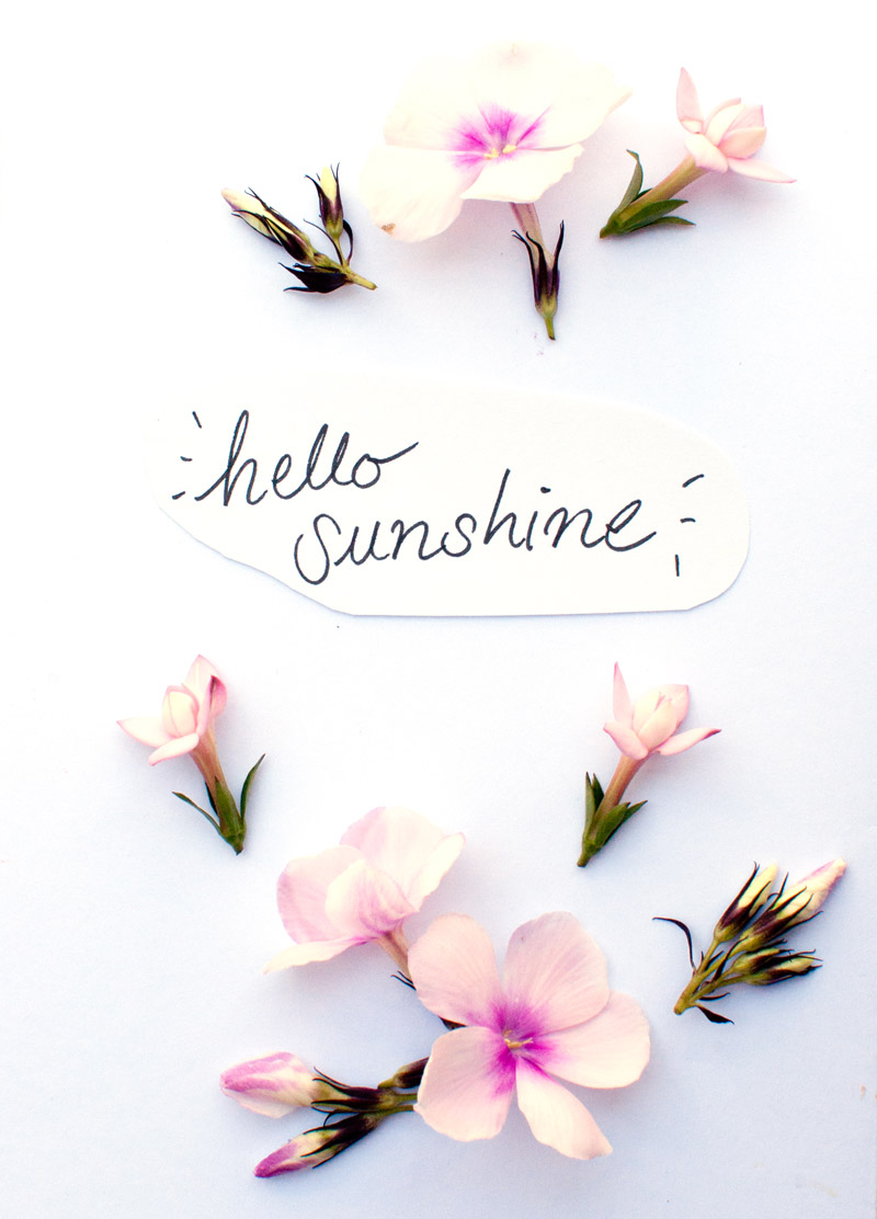 Hello-Sunshine