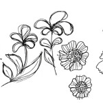 Noch-mehr-Blumen-zeichnen_Titel