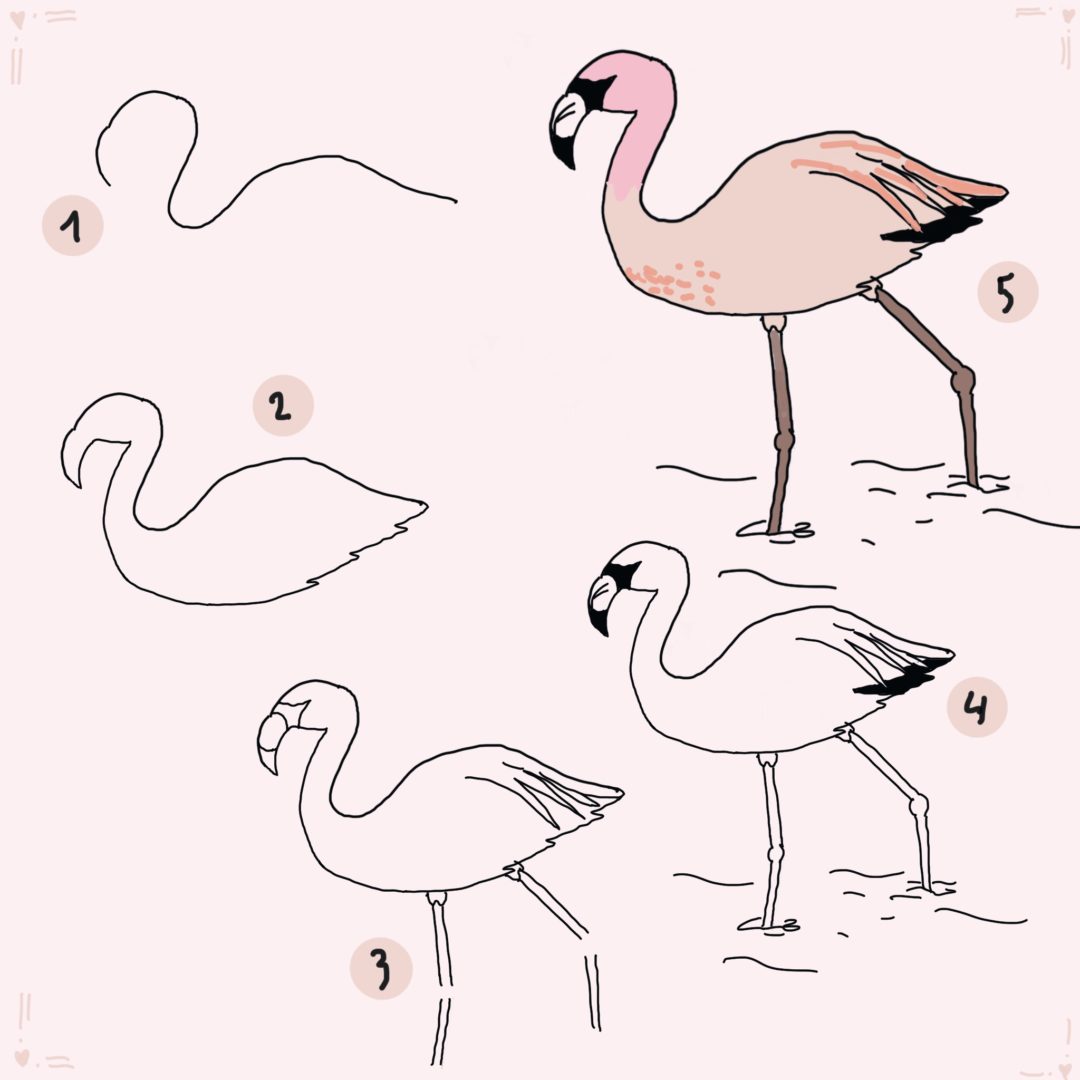 7 Flamingos zeichnen Schritt-für-Schritt - auch für Kinder und